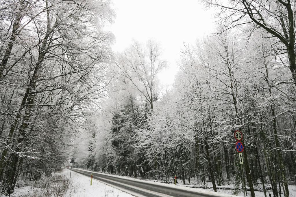 Cztery Pory Roku Pension Białowieża Buitenkant foto