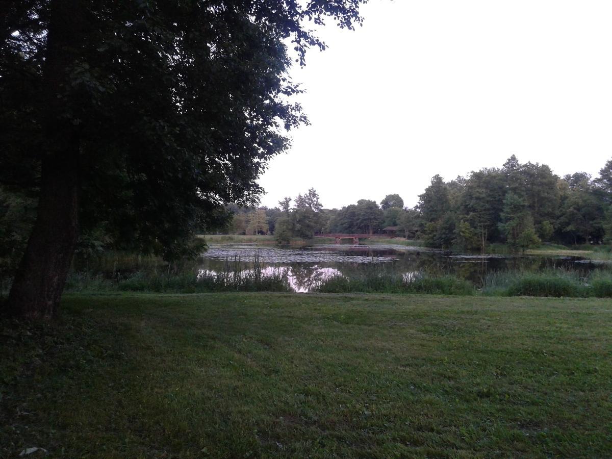Cztery Pory Roku Pension Białowieża Buitenkant foto