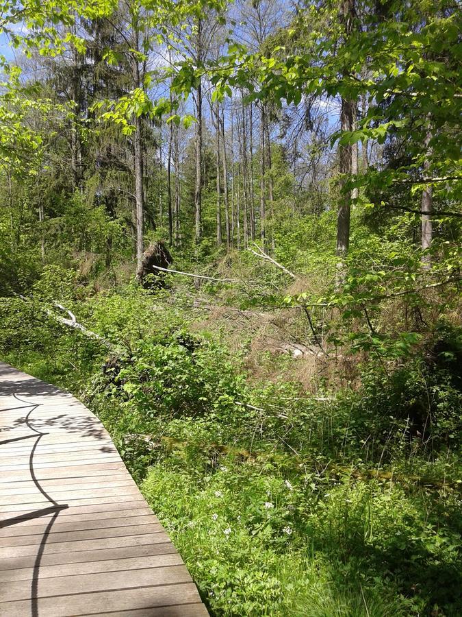 Cztery Pory Roku Pension Białowieża Buitenkant foto