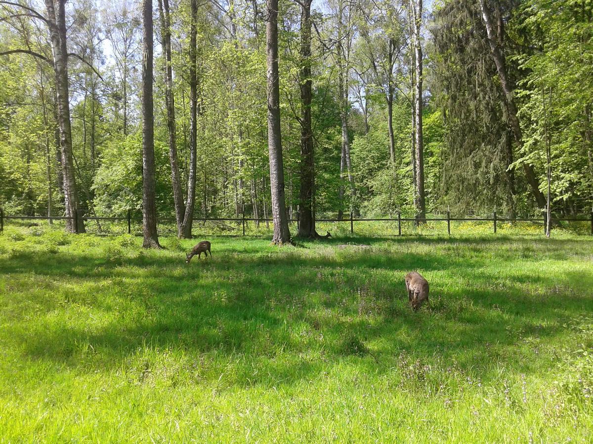 Cztery Pory Roku Pension Białowieża Buitenkant foto