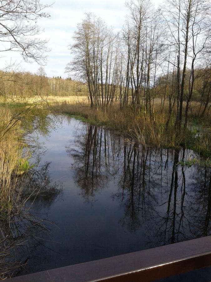 Cztery Pory Roku Pension Białowieża Buitenkant foto