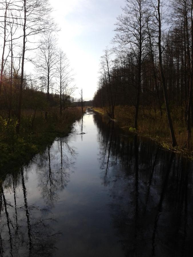 Cztery Pory Roku Pension Białowieża Buitenkant foto