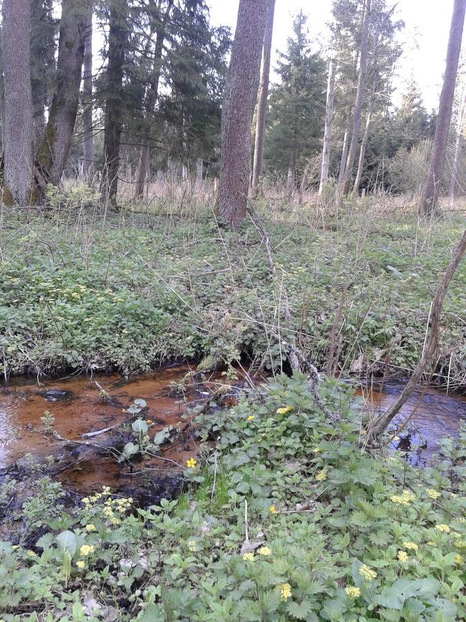 Cztery Pory Roku Pension Białowieża Buitenkant foto